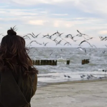 White Pearl 1.09 טימנדורפר שטרנד