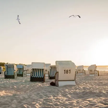 White Pearl 1.09 דירה