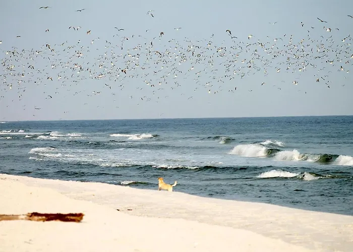 White Pearl 1.09 Διαμέρισμα